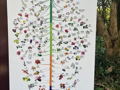 -杭州植物园