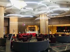 -南京禄口机场雅高铂尔曼大酒店