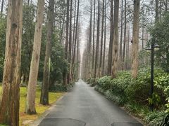 -上海怡沁园度假酒店
