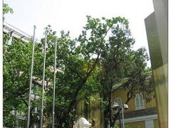 外面-星巴克(汾阳路店)