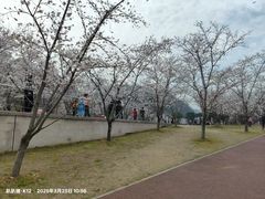 -幕燕滨江·燕子矶公园