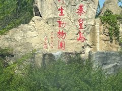-秦皇岛野生动物园