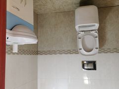 -金山农民画村-枫泾波兰倒置屋