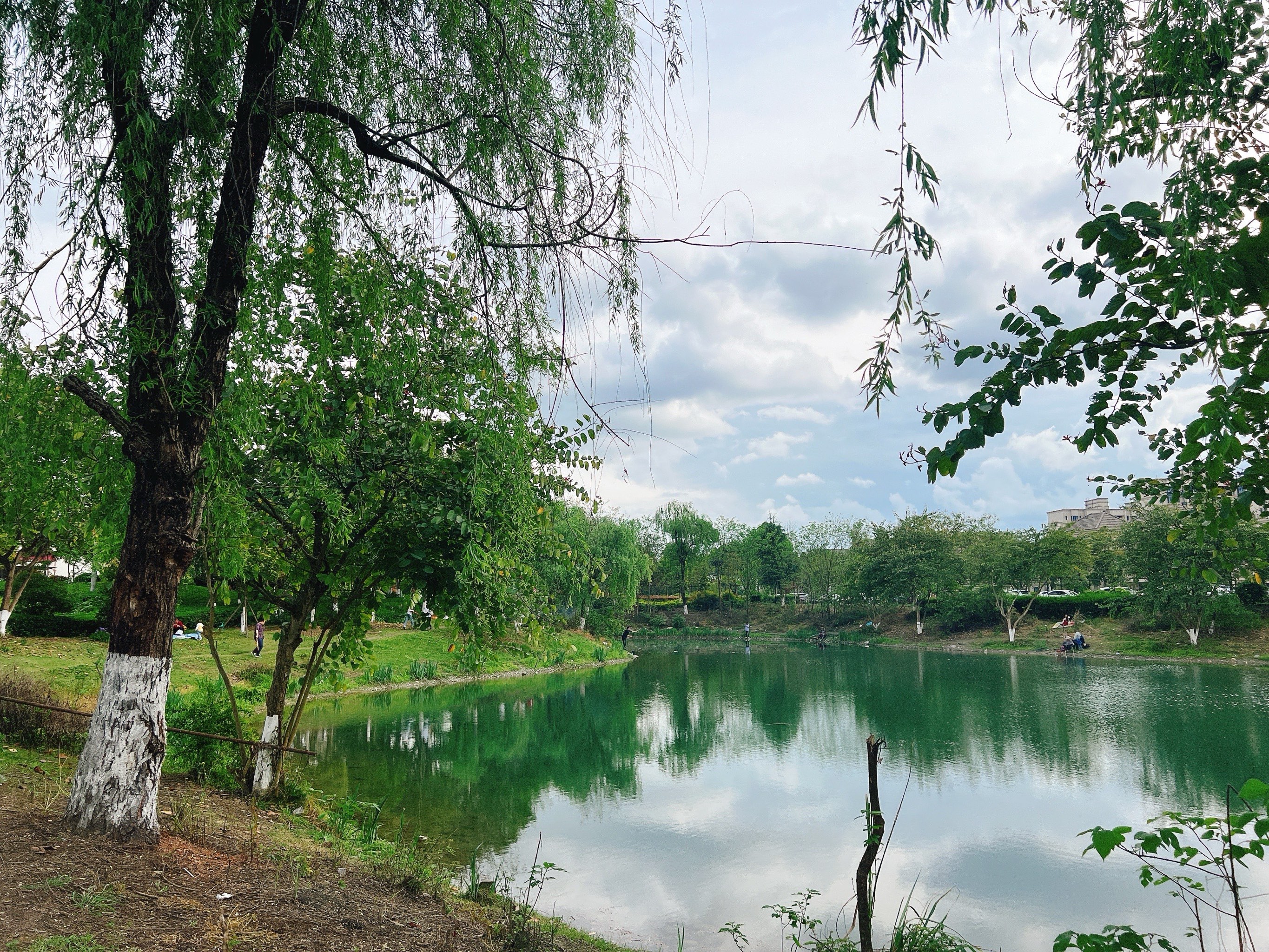 崇州羊马湿地公园介绍图片