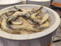 -密友回转自助火锅(世茂国际广场店)