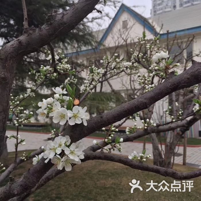 华兰国际幼稚园