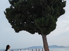 -青岛第一海水浴场