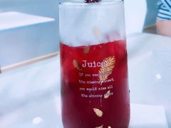 -飞行喵MR PILOT|猫舍·猫咖(静安大融城店)