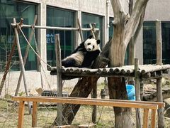 -沈阳森林动物园