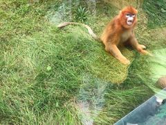 -西安秦岭野生动物园