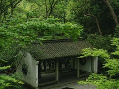 -虎跑公园