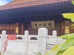 -深圳仙湖植物园