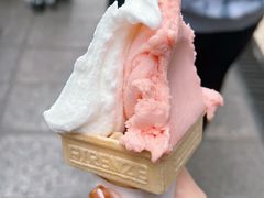 -柠檬车露(卖草地店)