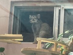 -青藏高原野生动物园