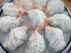 -小叶大馅饺子城