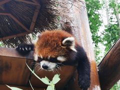 -北京野生动物园