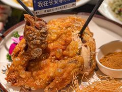 -唐猫庭院·千年陕菜(赛格国际购物中心店)