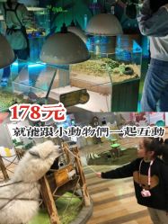 点击看大图 -七巧国萌宠乐园(龙湖天街店)