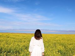 -青海湖国家重点风景名胜区