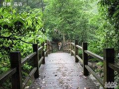 -安吉龙王山风景区