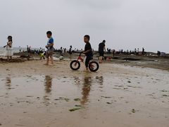 -日照灯塔风景区