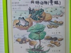 -上海昆虫博物馆