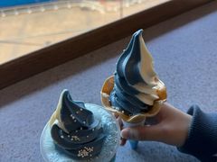 -大阪海游馆