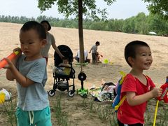 -东郊湿地公园