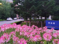 -辽宁大学(崇山校区)