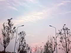 -白洋淀景区