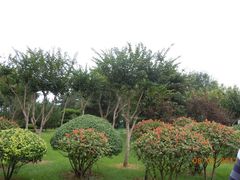 -日照灯塔风景区