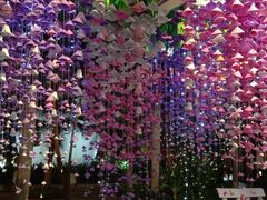 -100蛋泥浆浴
