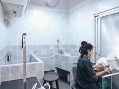 -1013 PET SHOP 宠物商店(近铁城市广场店)