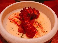 缥缈章鱼-FOGO