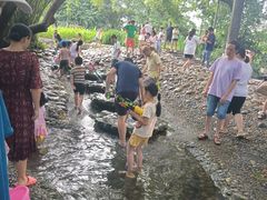 -成都市活水公园