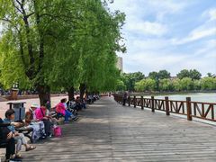 -二一九公园