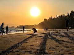 -三亚海棠湾万丽度假酒店