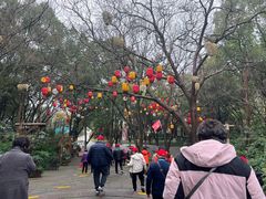 -天目湖山水园