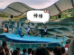 -泉州海丝野生动物世界