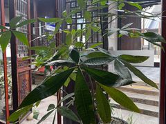 -月栖华明-云间草堂清茶馆(泗泾古镇店)