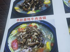 -九寨特色牦牛肉汤锅 羊肉汤锅