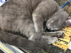 -协和菜馆(凤凰街店)