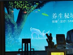 -道合堂·中式按摩·spa(民治店)