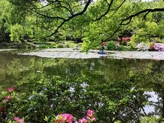 -杭州植物园