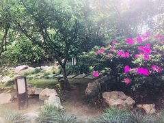 -上海新锦江大酒店