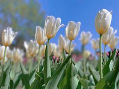 -长春公园(普阳街道)