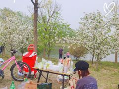 -东郊湿地公园