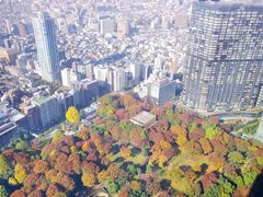 -东京都厅舍