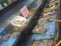 -濠景渔港(汇通店)