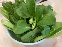 鸡毛菜-洪长兴(广西北路店)